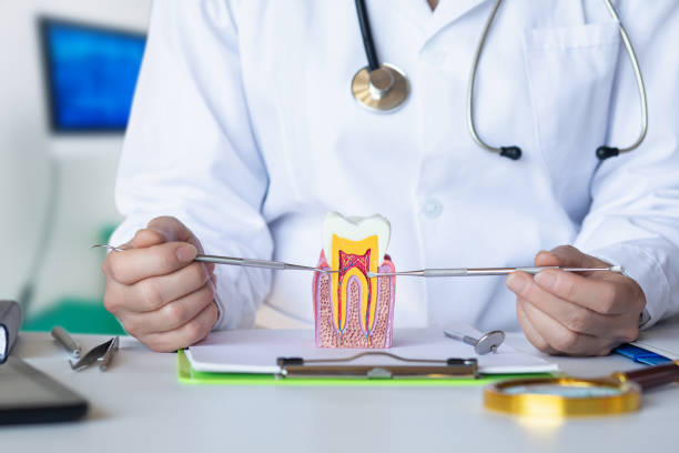 Best Emergency Cosmetic Dentistry (e.g., broken veneers) in Swepsonville, NC
